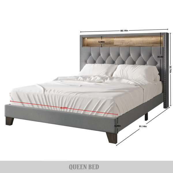 Red Barrel Studio® Fording Upholstered Bookcase Storage Bed & Reviews